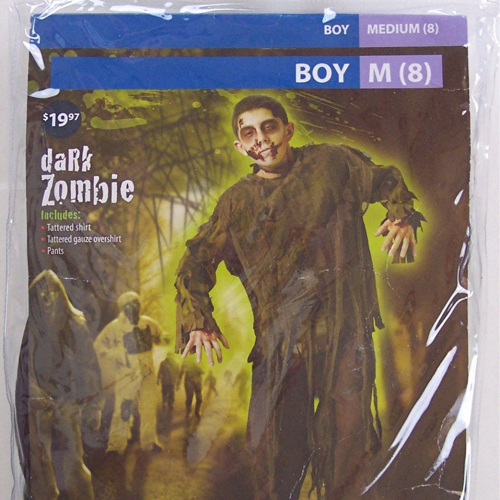 Nip New Fun World Boys 3 Pc Dark Zombie Tattered Fabric Halloween Costume, M (8)